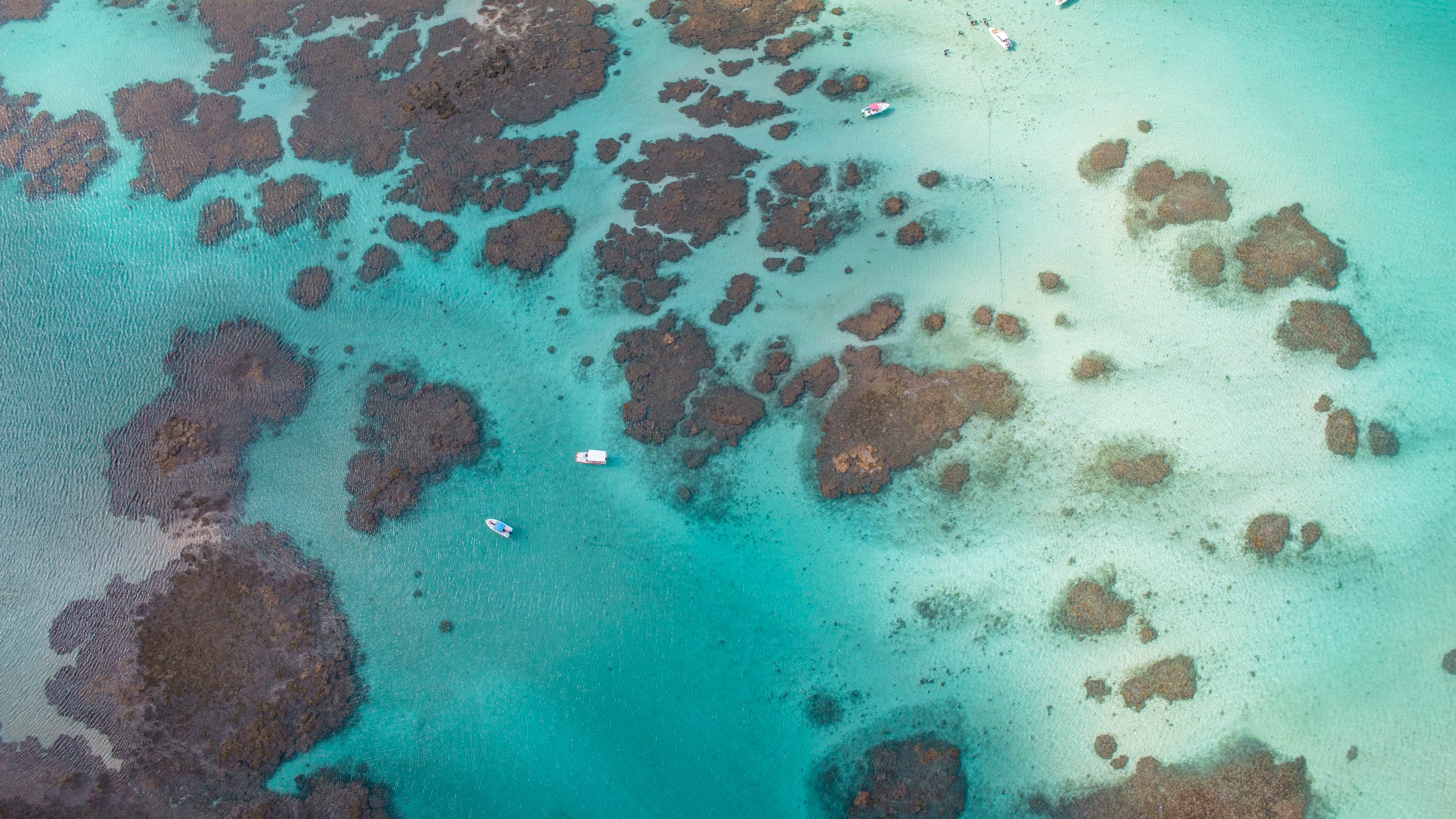 Galés de Maragogi na Praia de Barra Grande, em Alagoas.